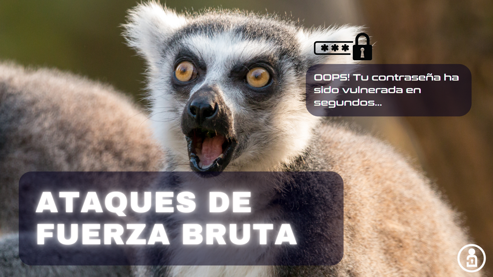 Ataques de fuerza bruta, oops! tu contraseña ha sido vulnerada en segundos...